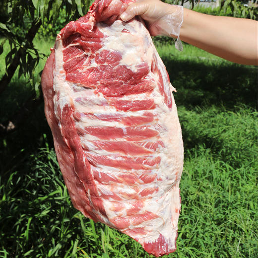 【包邮】  安心整扇猪肋排  
 粮食喂养 国产猪 无脊骨 肥瘦相间 馈赠佳品 商品图3