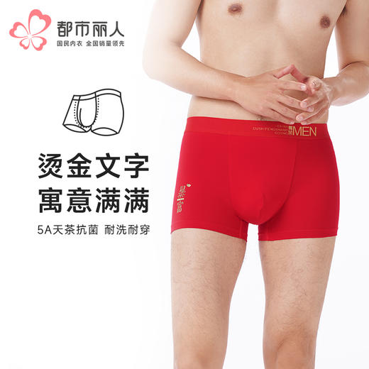 都市丽人都市锋尚内裤简约基础平角裤60S长绒棉男士内裤FKTHD1 商品图0