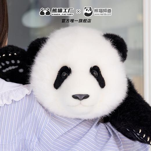 熊猫工厂 仿真熊猫玩偶 5月龄 萌兰 仿真熊猫基地玩偶抱枕七夕情人节送女生羊毛绒玩具长35*宽35*高38 商品图4
