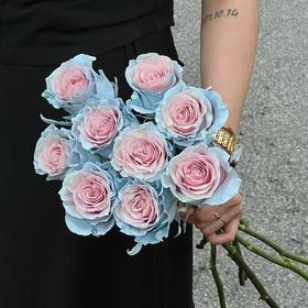 厄瓜多尔SWEET BABY BLUE宝贝蓝染色玫瑰10支