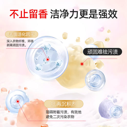 Texlabs泰克斯乐除jun液香氛酵素洗衣液内衣洗衣液婴幼爆炸盐留香珠 商品图4