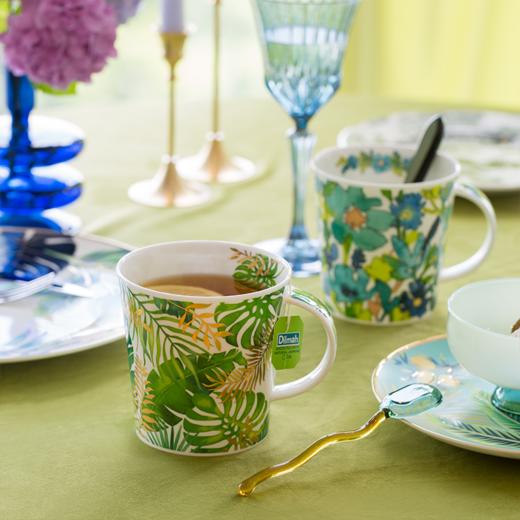 【丹侬DUNOON】英国丹侬Dunoon骨瓷水杯  Cairgorm 杯型 巴厘岛植物 商品图0