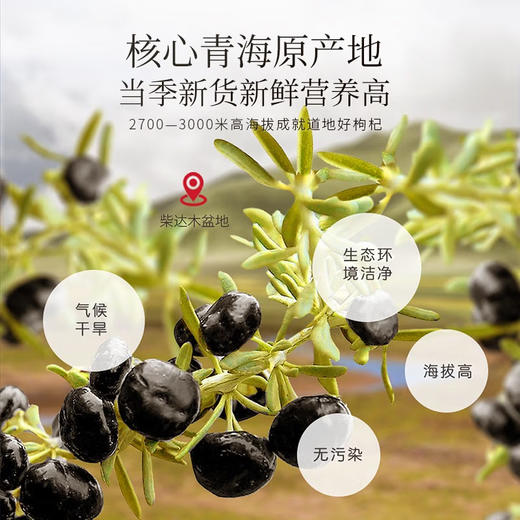 福东海 黑枸杞200克牛头果  青海柴达木诺木洪黑枸杞子南北干货 【中秋礼品】送长辈父母滋补品 企业团购 商品图4