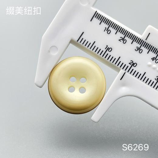 S6269(整包购买) 商品图3