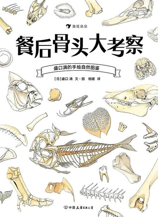 餐后骨头大考察 商品图0