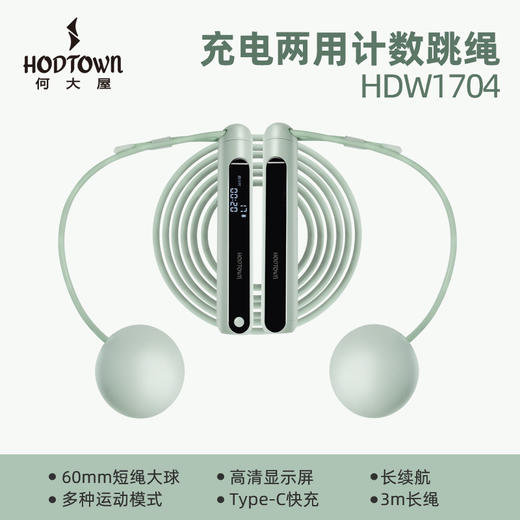 何大屋-充电两用计数跳绳 商品图0