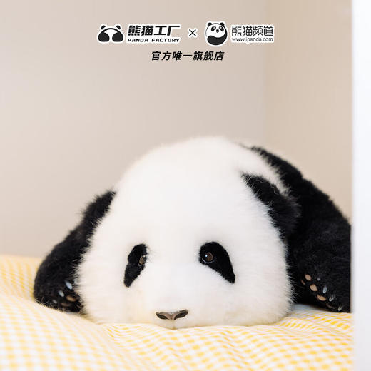 熊猫工厂 仿真熊猫玩偶 3月龄 和花 仿真熊猫玩偶情人节礼物可爱儿童毛绒玩具公仔 熊猫基地硅凝胶款 长42*宽38*高18 商品图4