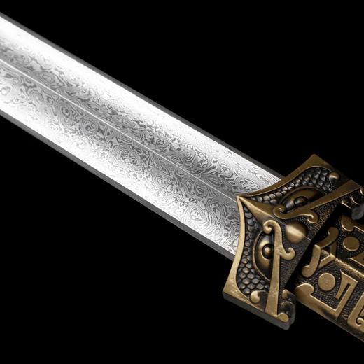 龙啸汉剑 汉唐宝剑  花纹钢 龙泉沈广隆宝剑 手工一体剑  未开刃 商品图3