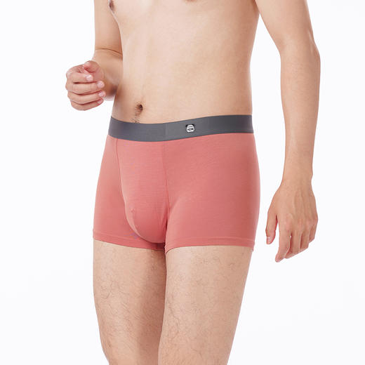 都市丽人都市锋尚内裤简约基础平角裤40S人棉男士内裤FKTCF1 商品图2