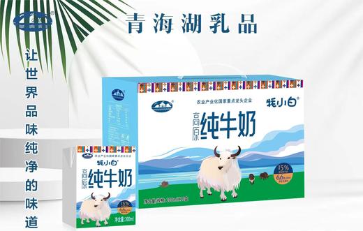 牦小白高原纯牛奶（含15%牦牛奶）200ml*10(原价64元/箱) 商品图1