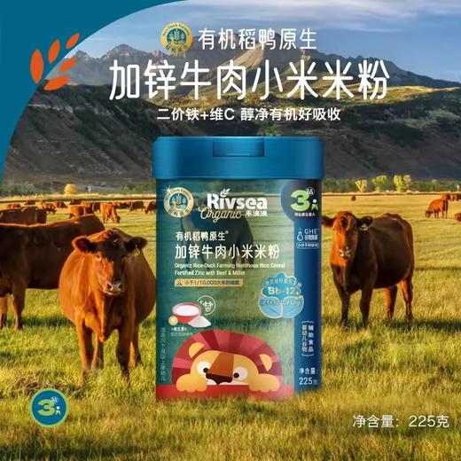 禾泱泱有机稻鸭原生维D加钙香蕉牛肉小米米粉225g 商品图0