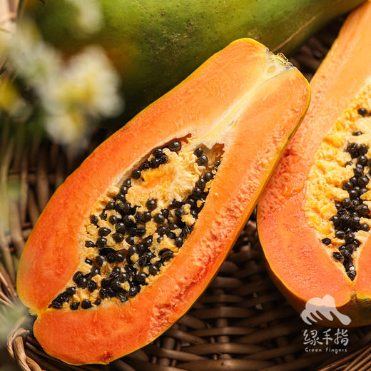 生态木瓜 | 绿家自产* Eco-papaya | Self-production 商品图0
