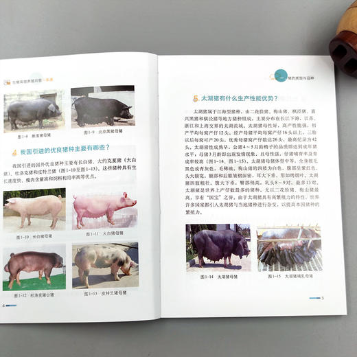 生猪高效养殖问答一本通（视频图文学养猪） 商品图3