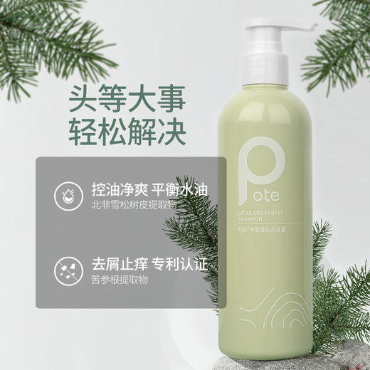 【69元3瓶，下单送按摩梳*1+护手霜*2】pote柏缇丰盈蓬松洗发露2.0 | 蓬松去屑 深层洁净 独有萃取配方 温和不刺激 商品图4
