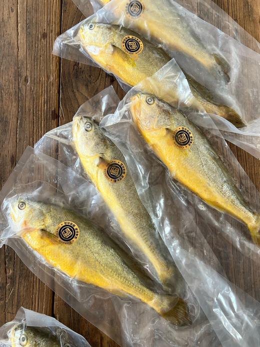 国信野游黄花鱼  青岛-福建洄游 身形修长 肉质紧实 口感鲜美  每条都有溯源码 3条 商品图5