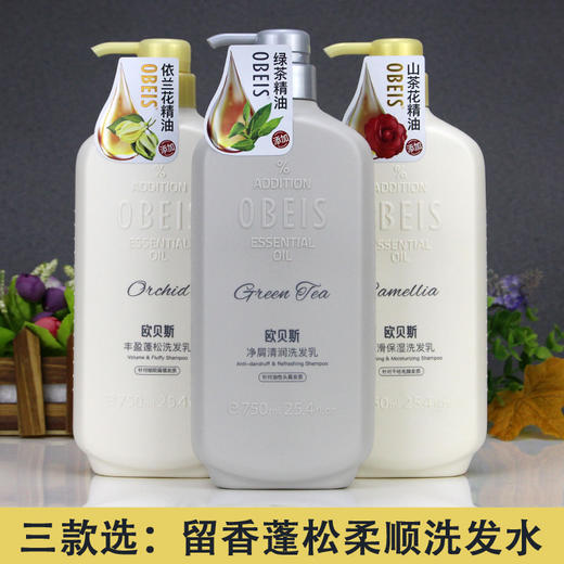 OBEIS欧贝斯洗发水 山茶花顺滑控油去屑柔顺蓬松洗头膏男女留香 商品图0