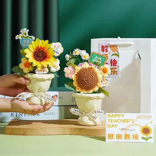 （满两件包邮）教师节礼物2024新款仿真实用花束、盆栽_ym 商品图0