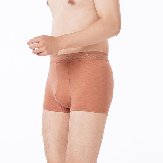 都市丽人都市锋尚内裤简约基础平角裤彩纱拉架男士内裤FKTCF3 商品图3