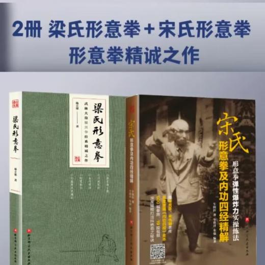 百家功夫：梁氏形意拳+宋氏形意拳及内功四经精解 商品图0