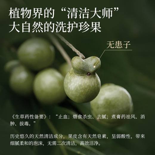 【真不二】黄柏蛇床子泡脚包7包/袋 商品图3