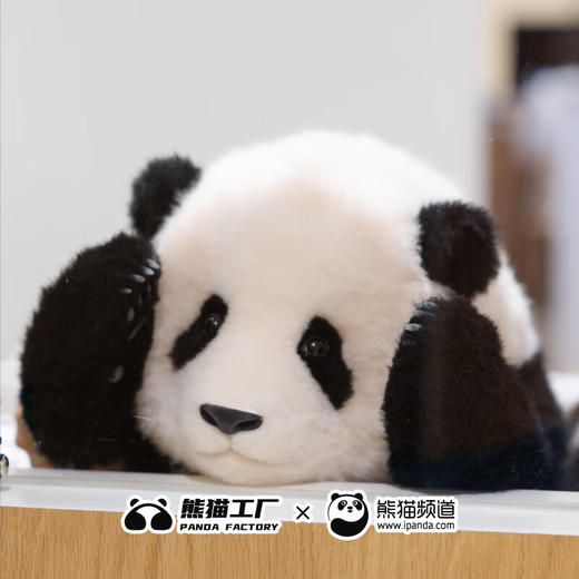 熊猫工厂 仿真熊猫玩偶 6月龄 福宝 仿真大熊猫玩偶送女友七夕情人节礼物毛绒玩具 商品图2