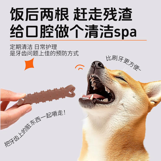 冒险与它狗狗洁齿骨100g 茶多酚除口臭异形磨牙棒 宠物耐咬磨牙 商品图3