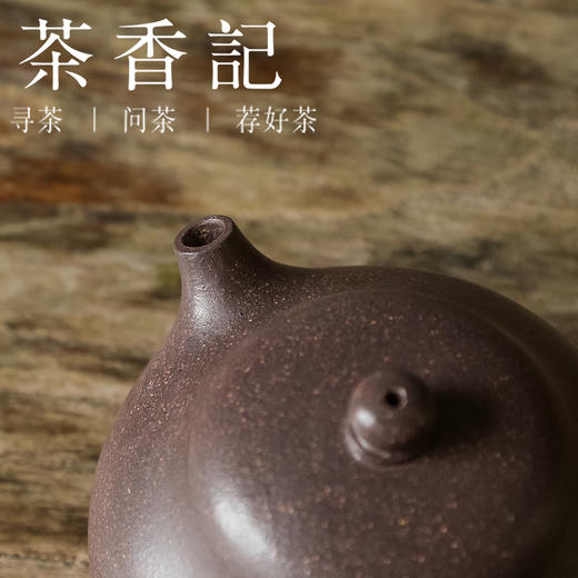 茶香记 润砂堂 天青泥文旦紫砂壶 圆润自然 冷峻清雅 泡茶壶 功夫茶具 商品图3