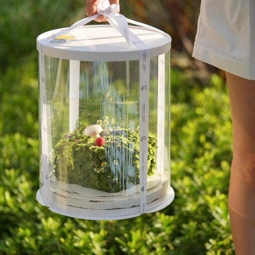 绿野仙踪 商品图5