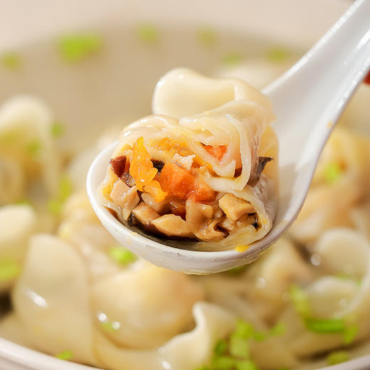 妙维根 净素大馄饨 手工大云吞 308g*3袋 (12只/袋) 商品图4