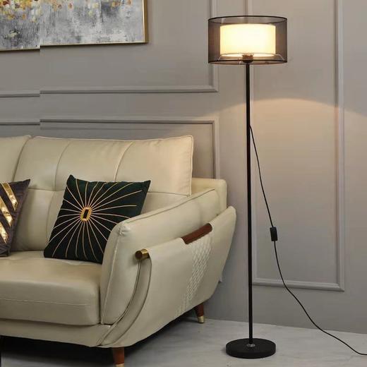 【北欧现代立式落地灯】落地灯北欧简约现代创意led灯客厅卧室网红床头书房立式落地台灯，简约风格却不失精致。 商品图0