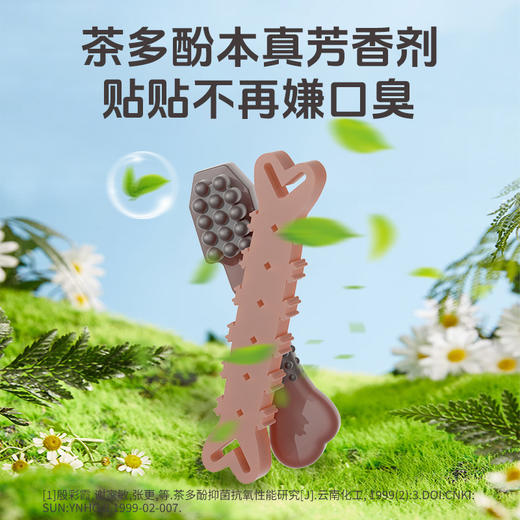 冒险与它狗狗洁齿骨100g 茶多酚除口臭异形磨牙棒 宠物耐咬磨牙 商品图1