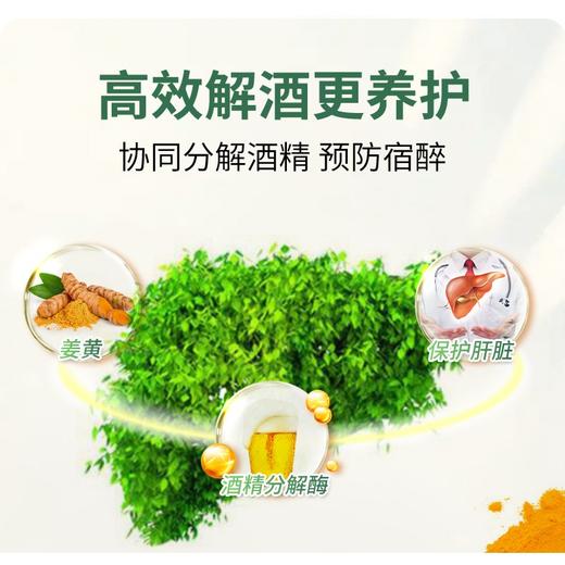 姜黄素胆碱二氢杨梅素奶蓟草转氨酶肝片原装进口胶囊60粒 NATURESPAN倍能适 商品图6