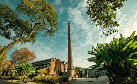 【五一华为专团】清凉黄山、婺源篁岭、瓷都景德镇休闲高铁5天游 商品图9