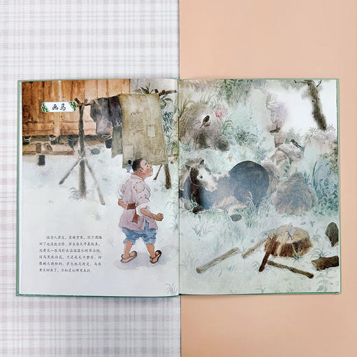 大家小绘系列：画马·鸟语 商品图2