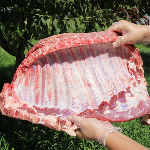 【包邮】  安心整扇猪肋排  
 粮食喂养 国产猪 无脊骨 肥瘦相间 馈赠佳品 商品图1