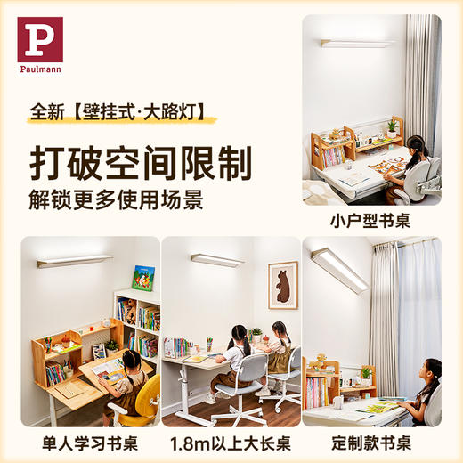 Paulmann德国柏曼Heß全光谱书房护眼阅读壁灯儿童学习壁挂式大路灯具 商品图1