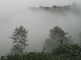  去蒙顶，才知这方云上人间 