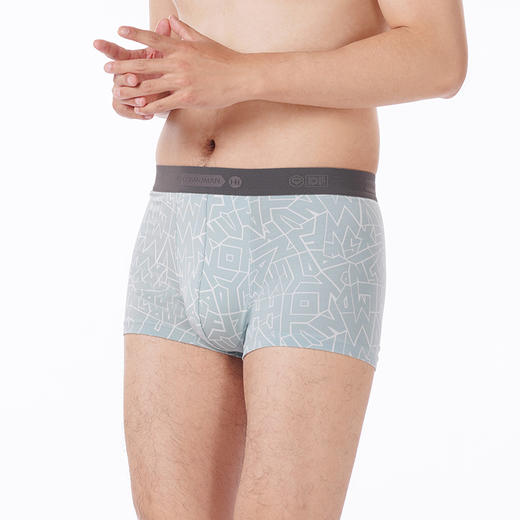 都市丽人都市锋尚内裤潮流时尚平角裤40S人棉男士内裤FKTCF7 商品图2