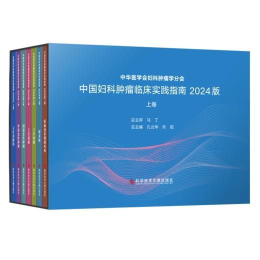 2024新书 正版 中国妇科肿瘤临床实践指南2024版（上卷）（全七册） 王丹波  向阳  张国楠主编 商品图0