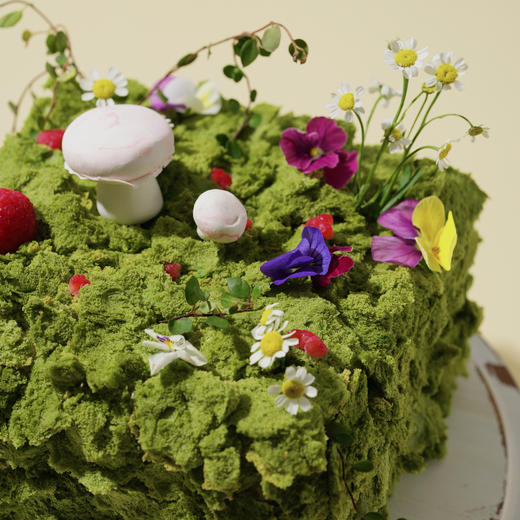 绿野仙踪 商品图6