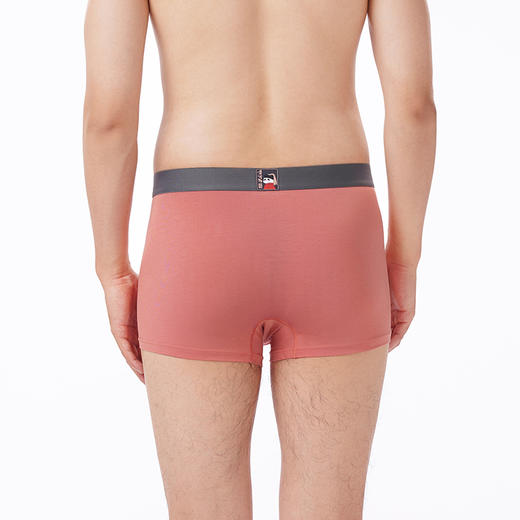 都市丽人都市锋尚内裤简约基础平角裤40S人棉男士内裤FKTCF1 商品图3