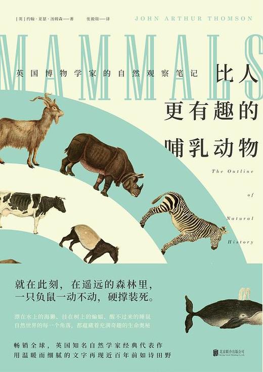 比人更有趣的哺乳动物 商品图0