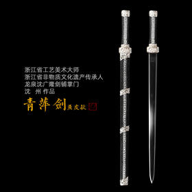青萍剑 沈州作品 龙泉沈广隆宝剑 手工高档传统剑 未开刃sgl-2026