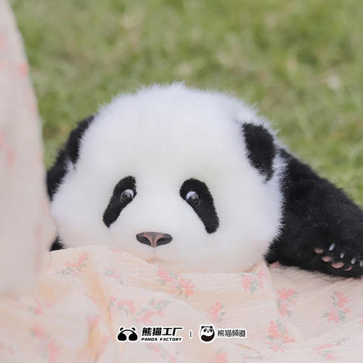 熊猫工厂 仿真熊猫玩偶 3月龄 叶叶 仿真熊猫玩偶送女友情人节礼物可爱儿童毛绒公仔 长48*宽32*17 商品图2