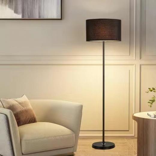 【北欧现代立式落地灯】落地灯北欧简约现代创意led灯客厅卧室网红床头书房立式落地台灯，简约风格却不失精致。 商品图10