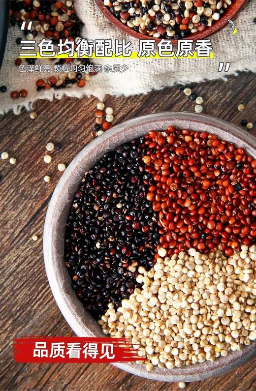 柴达木农垦三色藜麦500g/袋 商品图3