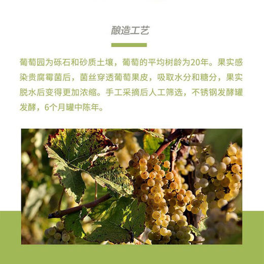 TY(分两个包裹发货）【签收超8小时死蟹不包赔，售后请在线反馈】鲜知臻食*阳澄股份大闸蟹优品级+施罗德席勒贵腐甜白葡萄酒【鲜享5.0】 商品图2