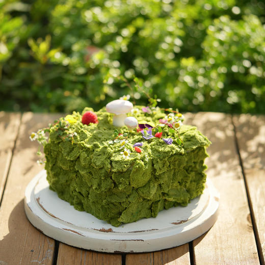 绿野仙踪 商品图1