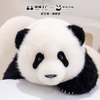 熊猫工厂 仿真熊猫玩偶 5月龄 萌兰 仿真熊猫基地玩偶抱枕七夕情人节送女生羊毛绒玩具长35*宽35*高38 商品缩略图6