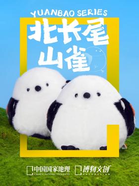 水灵灵登场的糯米团子💖